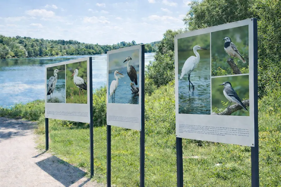 Personnalisation sur-mesure : quelle liberté offre l’impression sur Dibond ?